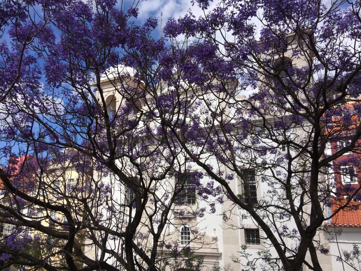 Casa Do Caldas ลิสบอน ภายนอก รูปภาพ